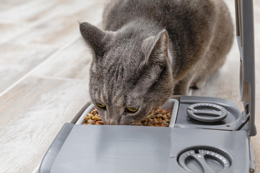 Petsafe automatische voerbak kat en hond - 2 x 150 gr - met timer - 2 maaltijden