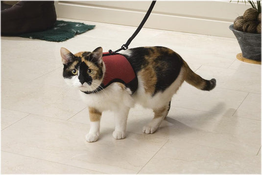 Beeztees loopharnas comfort - kattentuigje