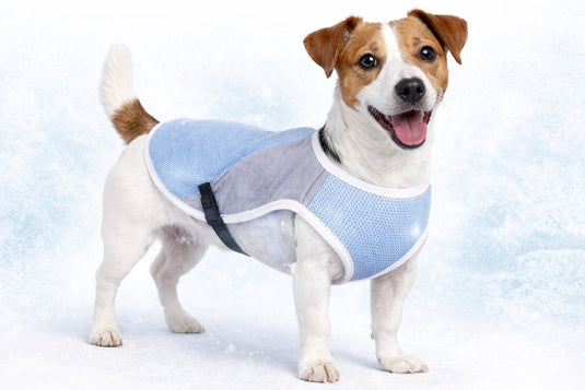 Flamingo koeljas hond - cooling vest hond - koelvest hond - m - 35 cm - frozen blauw grijs - verkoelend hondenvest met waterabsorberend effect