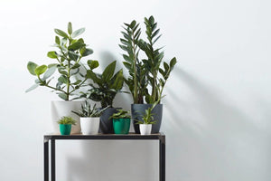 Elho brussels rond mini 9.5 - bloempot voor binnen - ø 10.0 x h 8.9 cm - wit
