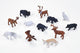 Mojo wildlife mini bosdieren speelset, 12dlg. - 380054