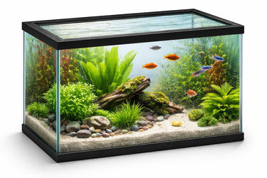 Flamingo aquarium – volglas aquarium – 40x20x25cm – 17,3l – glas – zwart kunststof frame – europese kwaliteit – voor alle vissoorten – binnen