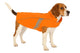 Flamingo hondenjas – regenjas hond – waterdichte hondenregenjas met reflectie – regenjas pomi oranje – 55 cm