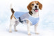 Flamingo koeljas hond - cooling vest hond - koelvest hond - l - 40 cm - frozen blauw grijs - waterabsorberende verkoelende hondenjas voor warme dagen