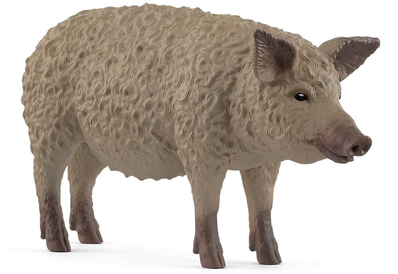 Load image into Gallery viewer, Schleich farm world - wolvarken - 14892
