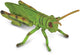 Collecta figurine - sprinkhaan - (m) - insecten - handgeschilderd - miniatuur