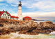 Educa - puzzle 1500 - rocky lighthouse ( 017978)
