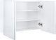 Differnz brida spiegelkast - 50 x 67,5 x 15 - wit