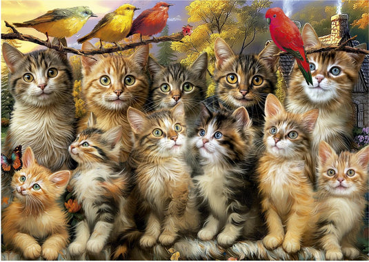 Educa legpuzzel katten en vogels 500 stukjes dieren puzzel.