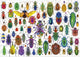 Educa puzzel kevers - 500 stukjes dieren legpuzzel volwassenen.