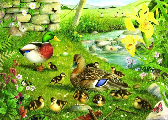 House of puzzles legpuzzel ducks to water 500 xl stukjes dieren.