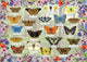 Gibsons - beautiful butterflies (door fiona osbaldstone) - 1000 stukjes 68×49cm (b×h) - legpuzzel voor volwassenen