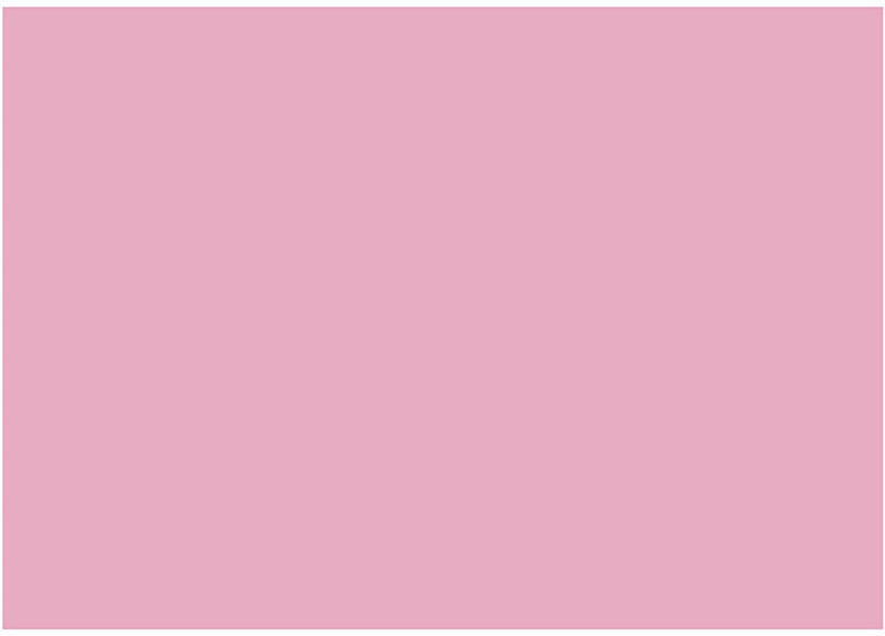 Load image into Gallery viewer, Creativ company eva foam vellen roze a4, 10st.
