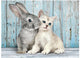 Clementoni - puzzel - 500 stukjes - kat en konijn - puzzel voor kinderen en volwassenen - high quality collection