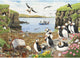 House of puzzles puffin parade puzzel 500 stukjes xl