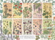 Cobble hill legpuzzel botanicals bloemen 1000 stukjes puzzel.