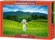 Castorland rice fields in vietnam – puzzel – 1000 stukjes – satijnen afwerking – perfecte pasvorm – europese kwaliteit