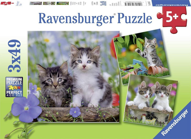 Load image into Gallery viewer, Ravensburger puzzel katten - 3x49 stukjes - kinderpuzzel
