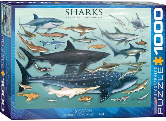 Eurographics - haaien [sharks] - 1000 stukjes 68×48cm (b×h) - legpuzzel