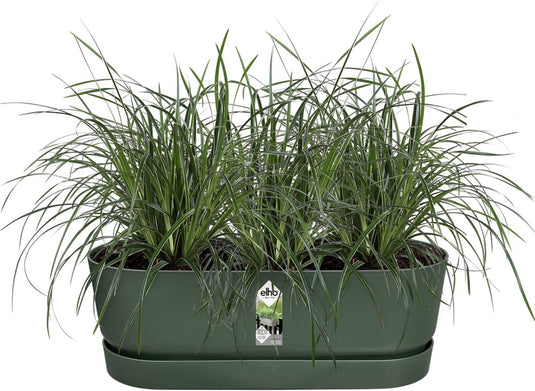 Elho greenville easy balcony 52 - balkonbak met ophanging - 100% gerecycled plastic - l52 x b21.2 x h19.4 cm - blad groen