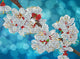 Diamond dotz® diamond dotz simply dotz diamond sd3.401 oriental bloom kit 37x27cm