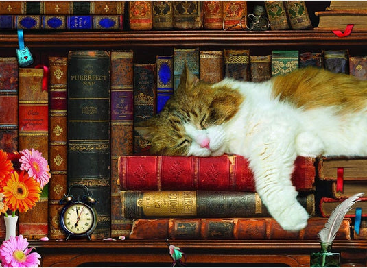 Eurographics - het katten dutje [the cat nap] - 500 xl stukjes 68×48cm (b×h) - familie legpuzzel