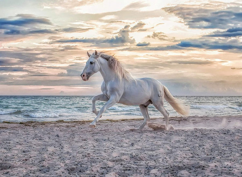 Load image into Gallery viewer, Ravensburger puzzel paard strand - 500 stukjes legpuzzel dieren.
