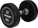Avento dumbbell - halter 10 kg - zwart staal