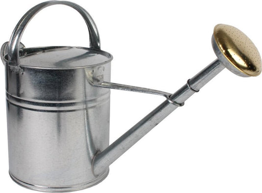 Talen tools - gieter - metaal - 10l - verzinkt