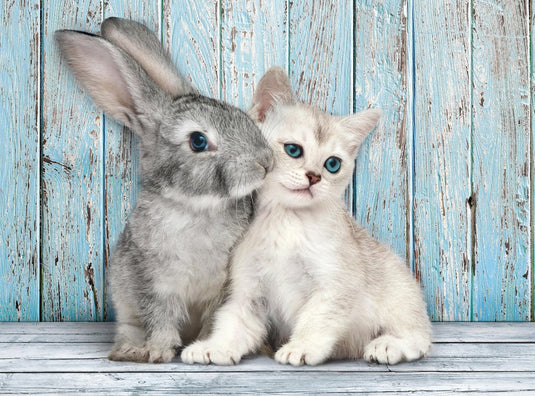 Clementoni - puzzel - 500 stukjes - kitten en konijn - high quality series