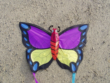 Didak beach pinky winky vlieger - 52x73 cm
