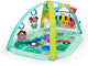 Baby einstein discovery gym 4in1 kickin tune meadow - - vanaf 0 maanden