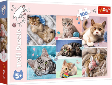 Trefl legpuzzel kattenwereld 100 stukjes karton kleurrijk.