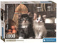 Clementoni puzzel - schattige kittens, 1000st.
