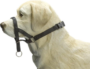 Beeztees dog control - halsband hond - zwart - l