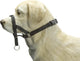 Beeztees dog control - halsband hond - zwart - s