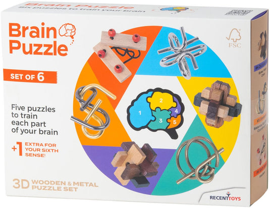 Recent toys brainpuzzel set van 6.