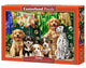 Castorland puzzel 500 stukjes: puppy's, wasgoed en vogels