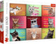 Trefl puzzel katten - funny cats faces 1500 stukjes legpuzzel.