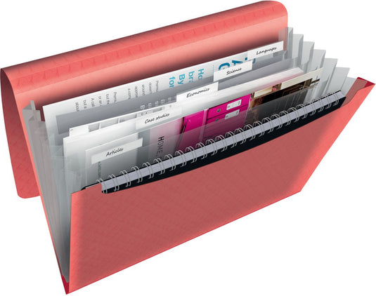 Esselte colour'breeze a4 uitzetbare projectmap - organiser met 5 tabbladen 6 vakken - koraal