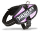 Julius k9 wereld bekende idc powertuig voor tekstlabels roze maat: mini-mini