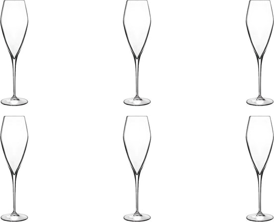 Luigi bormioli atelier champagneglas groot - 270 ml - 6 stuks