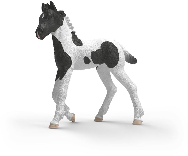 Load image into Gallery viewer, Schleich horse club verzamelbaar veulen rocky 81481
