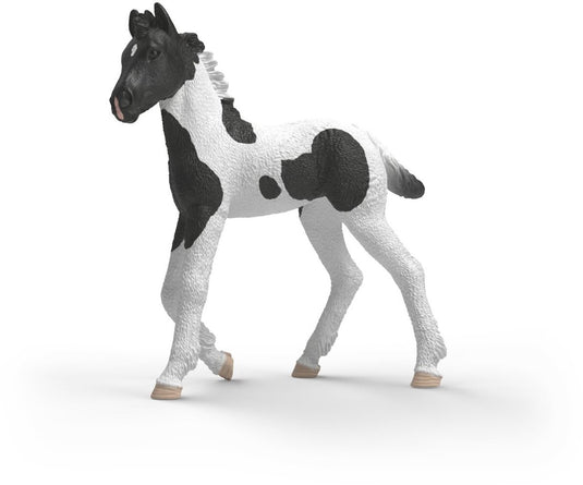 Schleich horse club verzamelbaar veulen rocky 81481