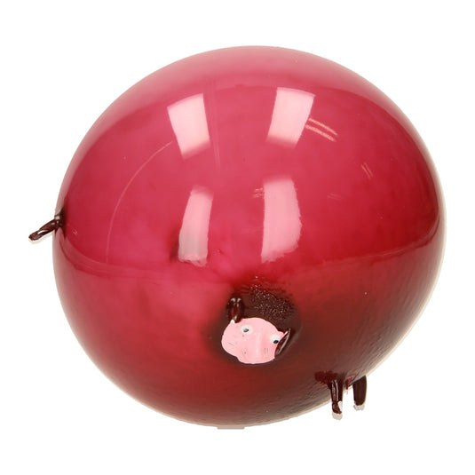 Duckiez ballon bal dieren