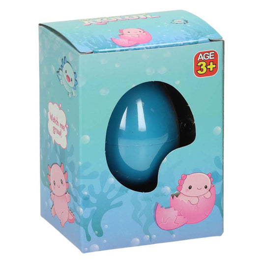 Duckiez groeiend ei axolotl