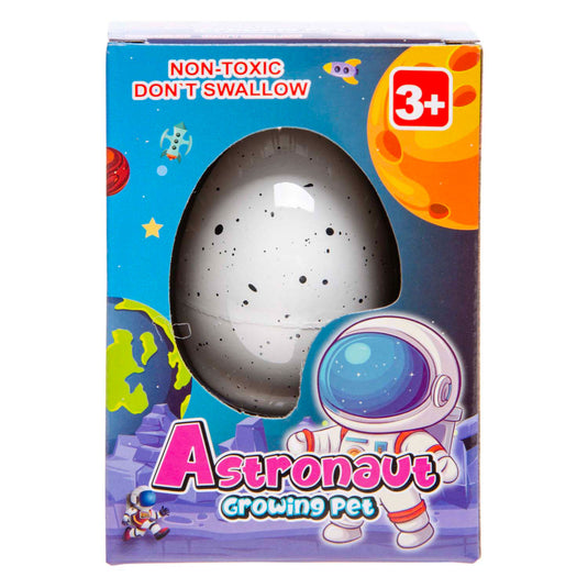 Duckiez groeiend ei astronaut