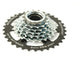 pion 7S 13-34T zilver