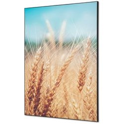 Textielen wanddecoratie showdown tfr22wa1-set-i814 400 x 400 grain field