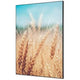 Textielen wanddecoratie showdown tfr22wa1-set-i814 400 x 400 grain field